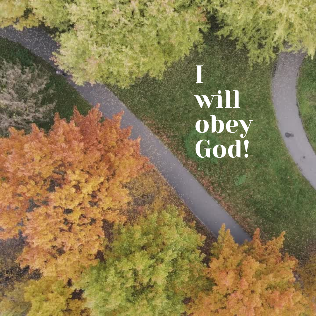 Declaration of Truth: I will obey God!