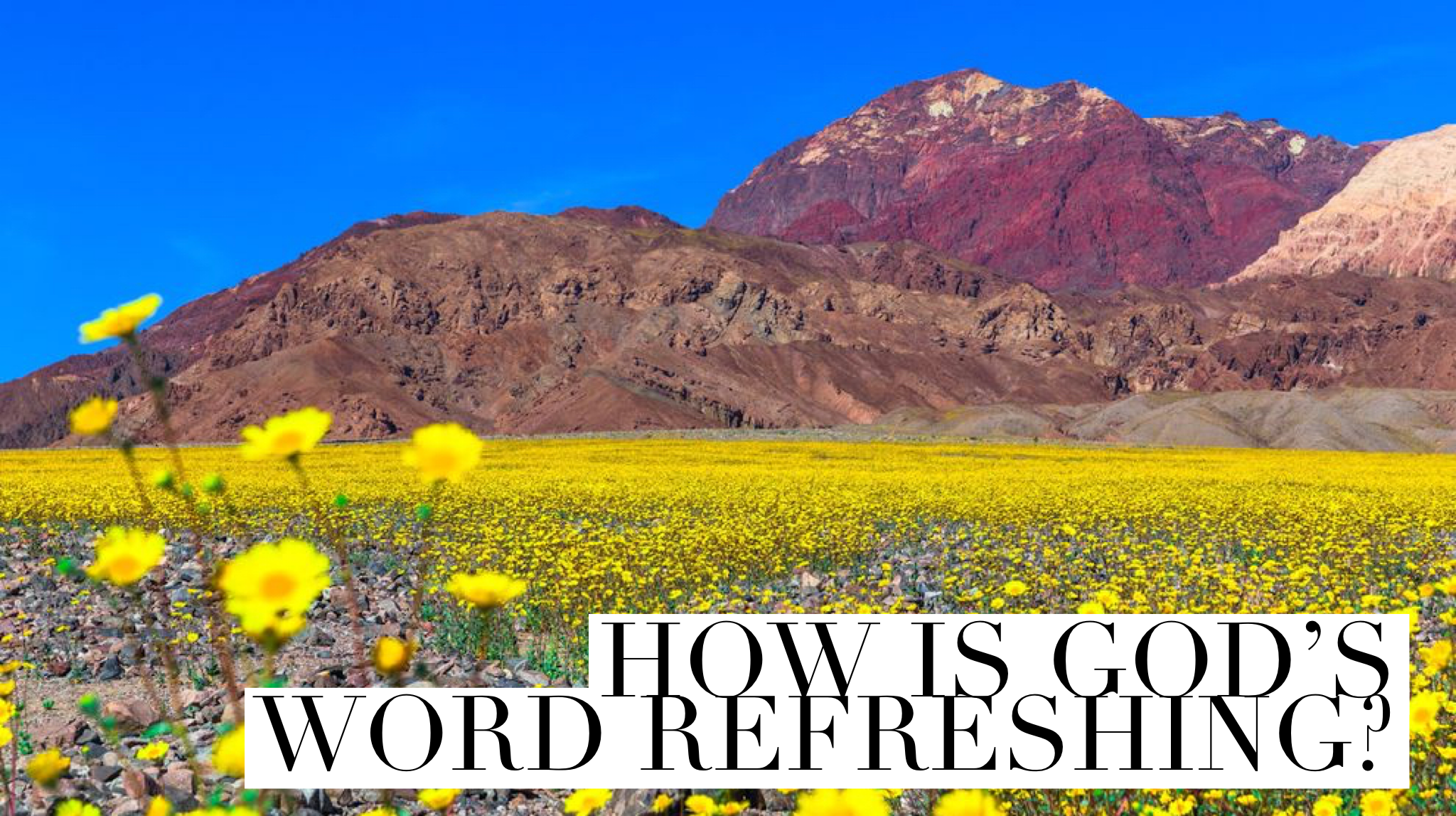 How Is God’s Word Refreshing?