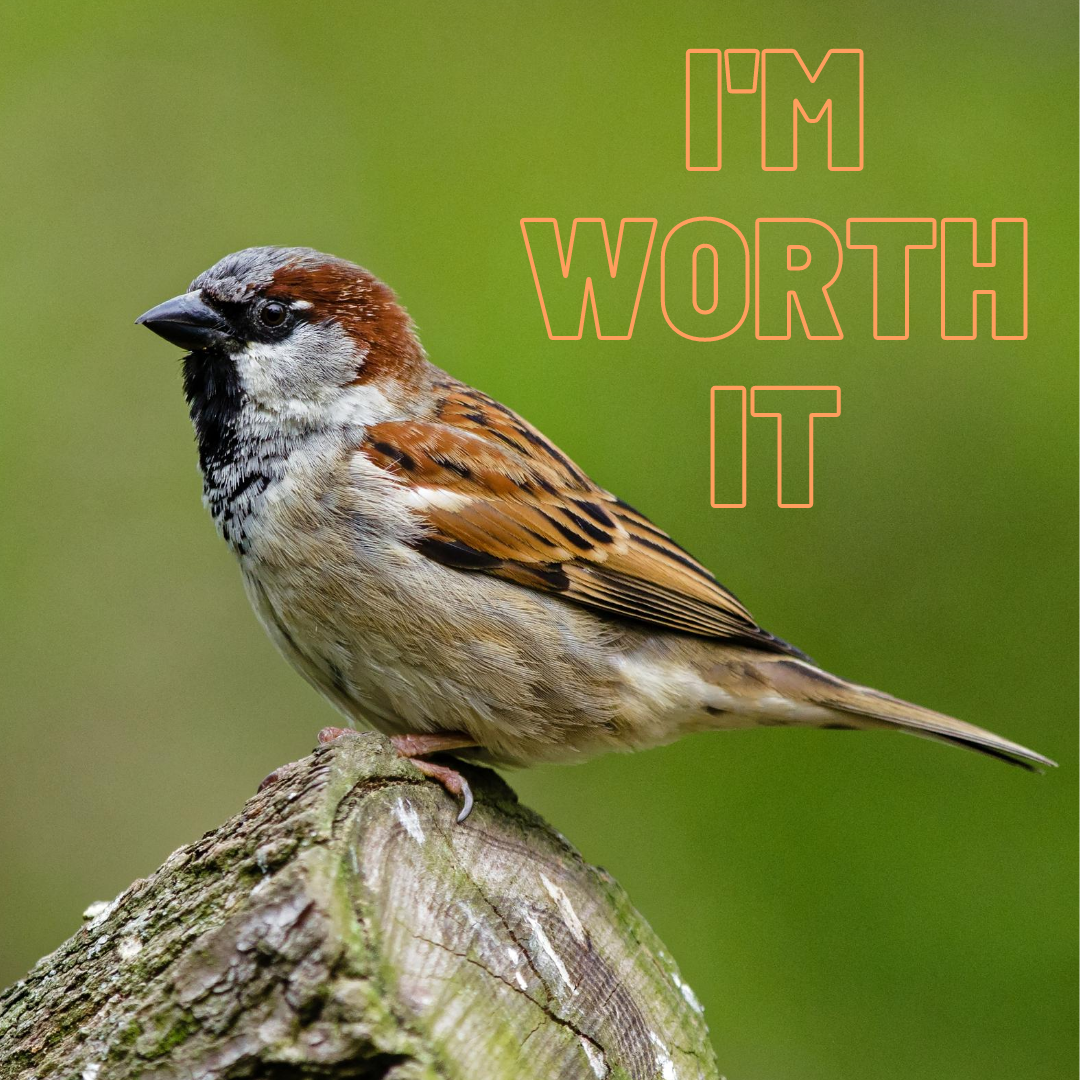 Declaration of Truth: I’m Worth It!
