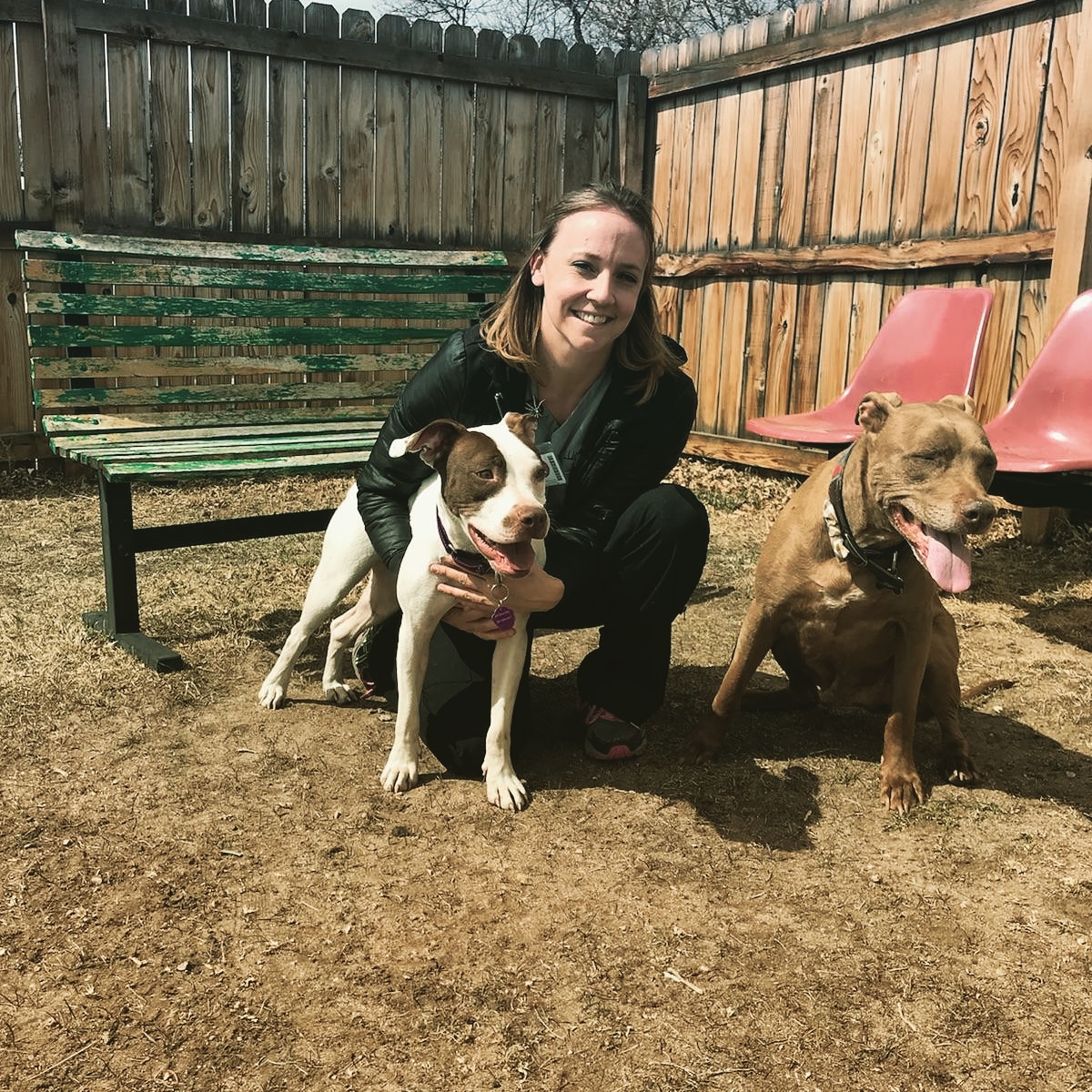 Volunteer Of The Week – Element Church