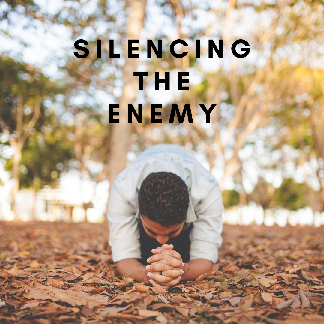 Declaration of Truth: I will silence the enemy!