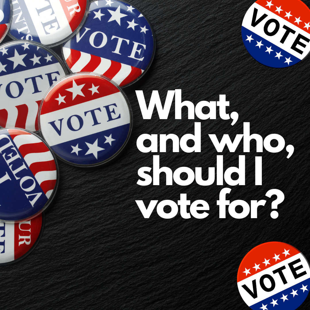 What, and Who, should I vote for?